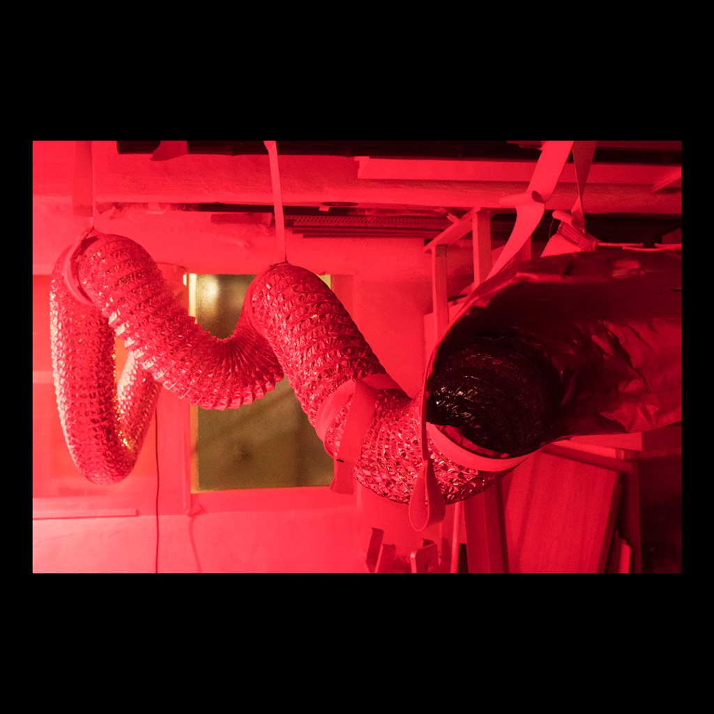 CS 2021 HAUNT / NO.&nbsp;21