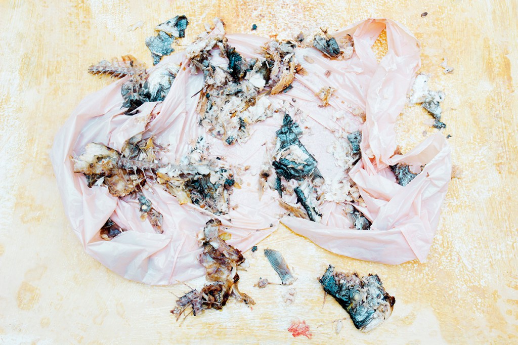 CS 2015 SAVOUR / NO.&nbsp;02